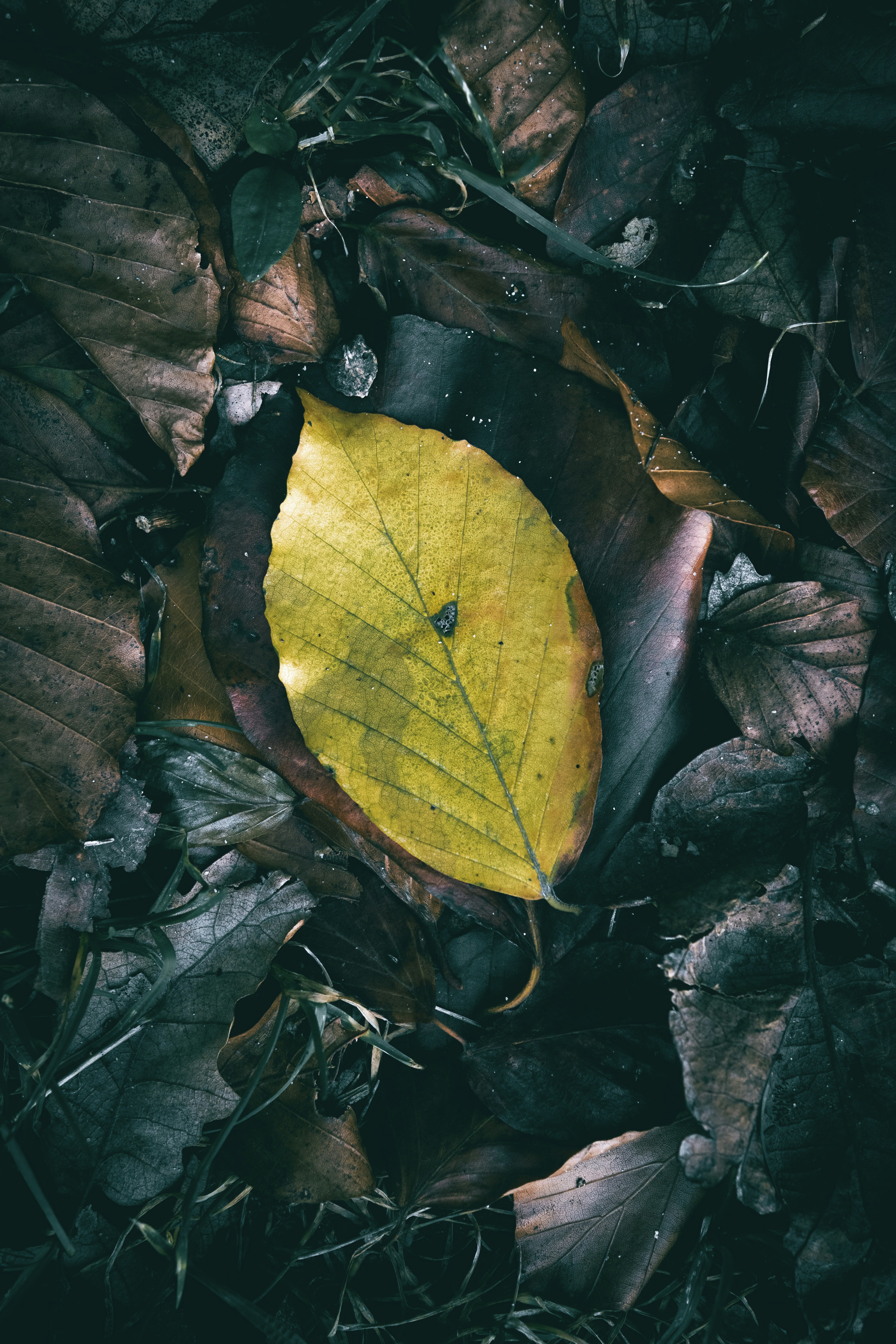 Photo by wyxina