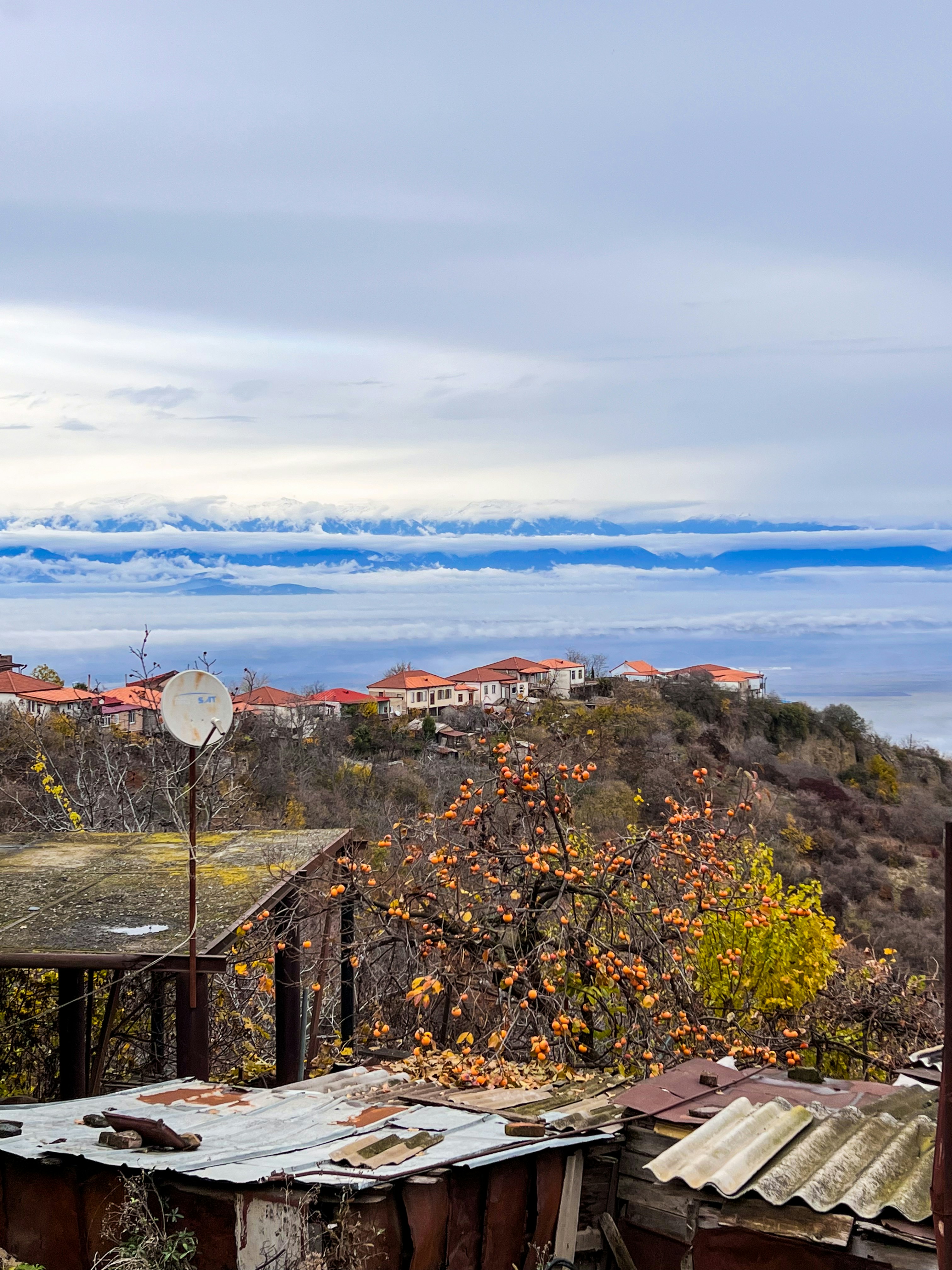 Telavi: Kakheti's Royal Capital and Cultural Heart