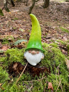 A whimsical garden gnome with a tall, pointed green hat stands on a bed of vibrant green moss in a wooded area. The gnome has a rosy-cheeked face and a long, white beard. Surrounding the gnome are fallen leaves and branches, adding to the natural, forest ambiance.