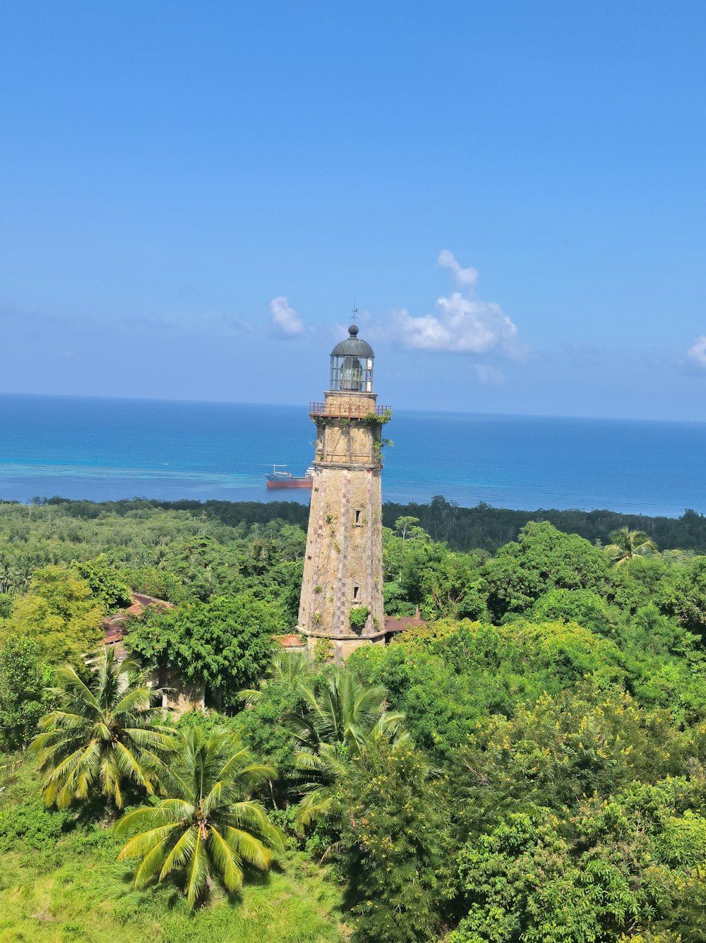 a light house in the middle of a lush green forest