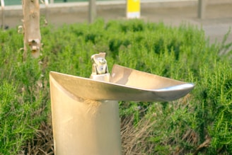 A sleek water fountain designed for pets, surrounded by fresh greenery and a contented pet drinking.