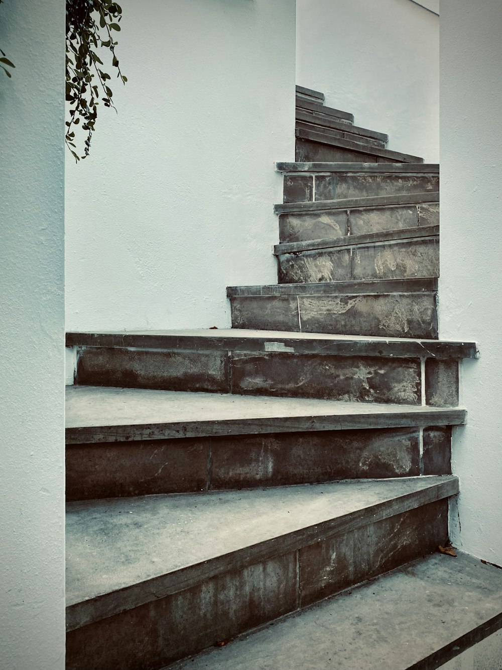 a black and white photo of a set of stairs