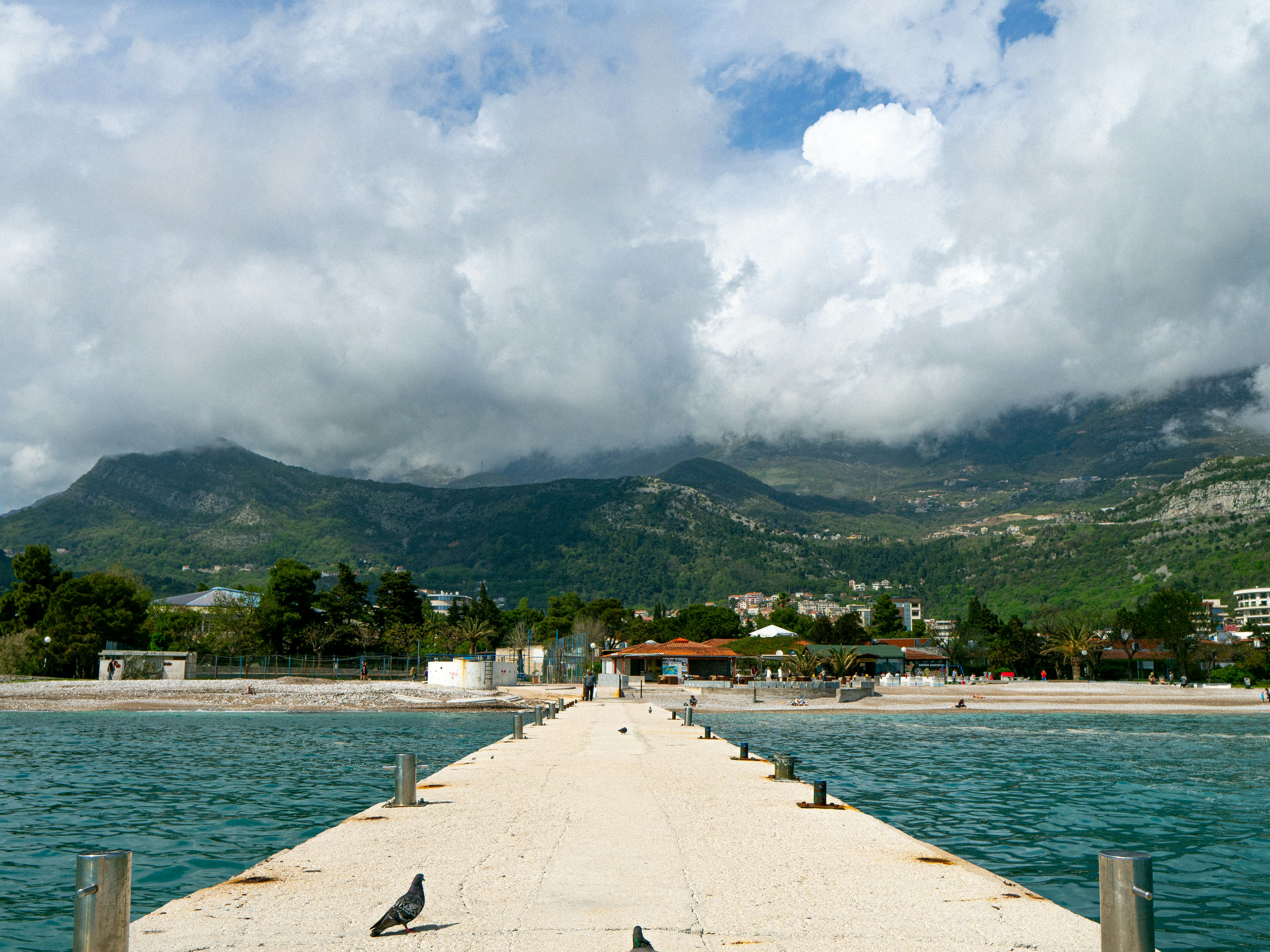 a bird sitting on the end of a pier