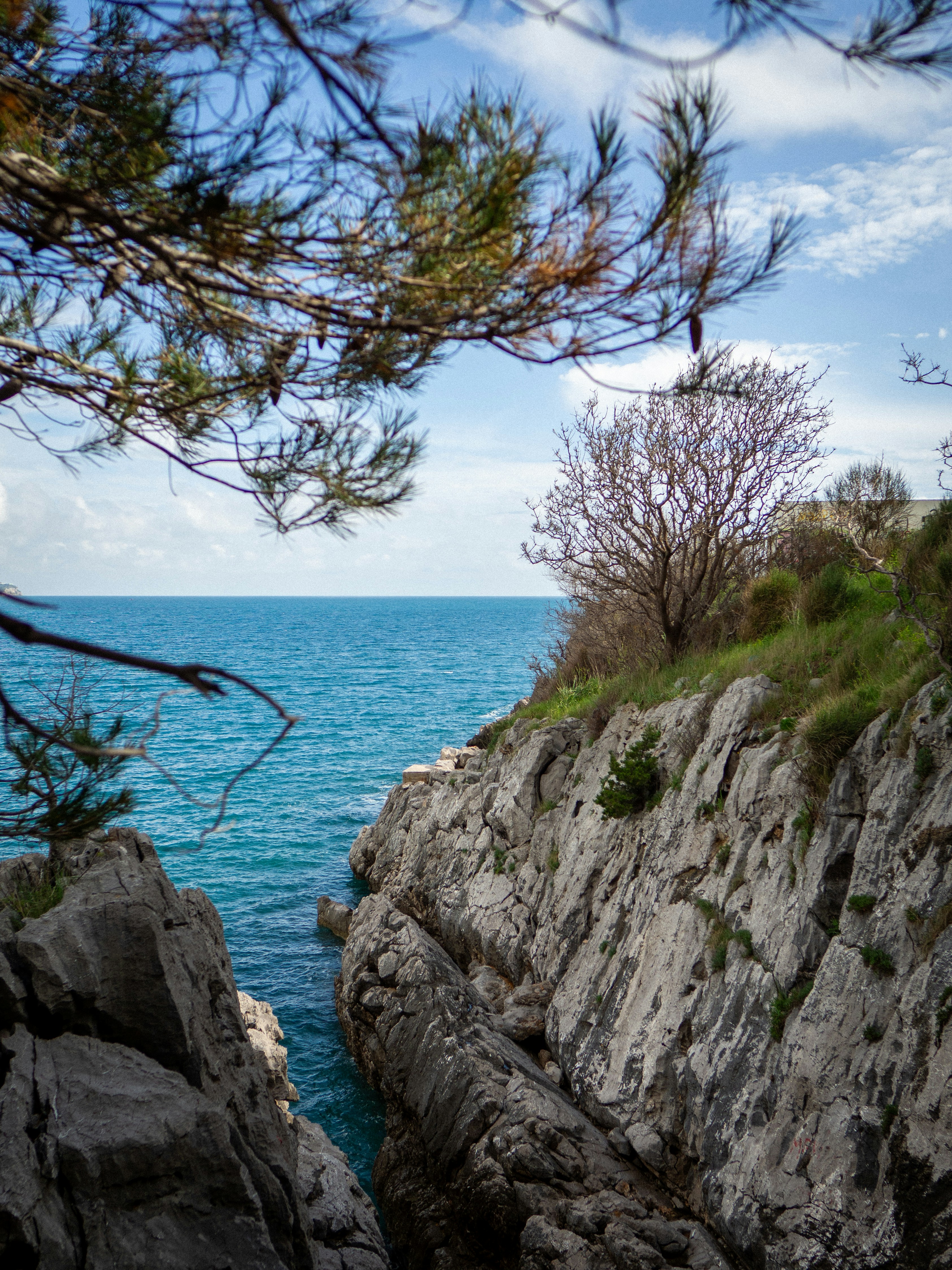 a view of a body of water from a cliff