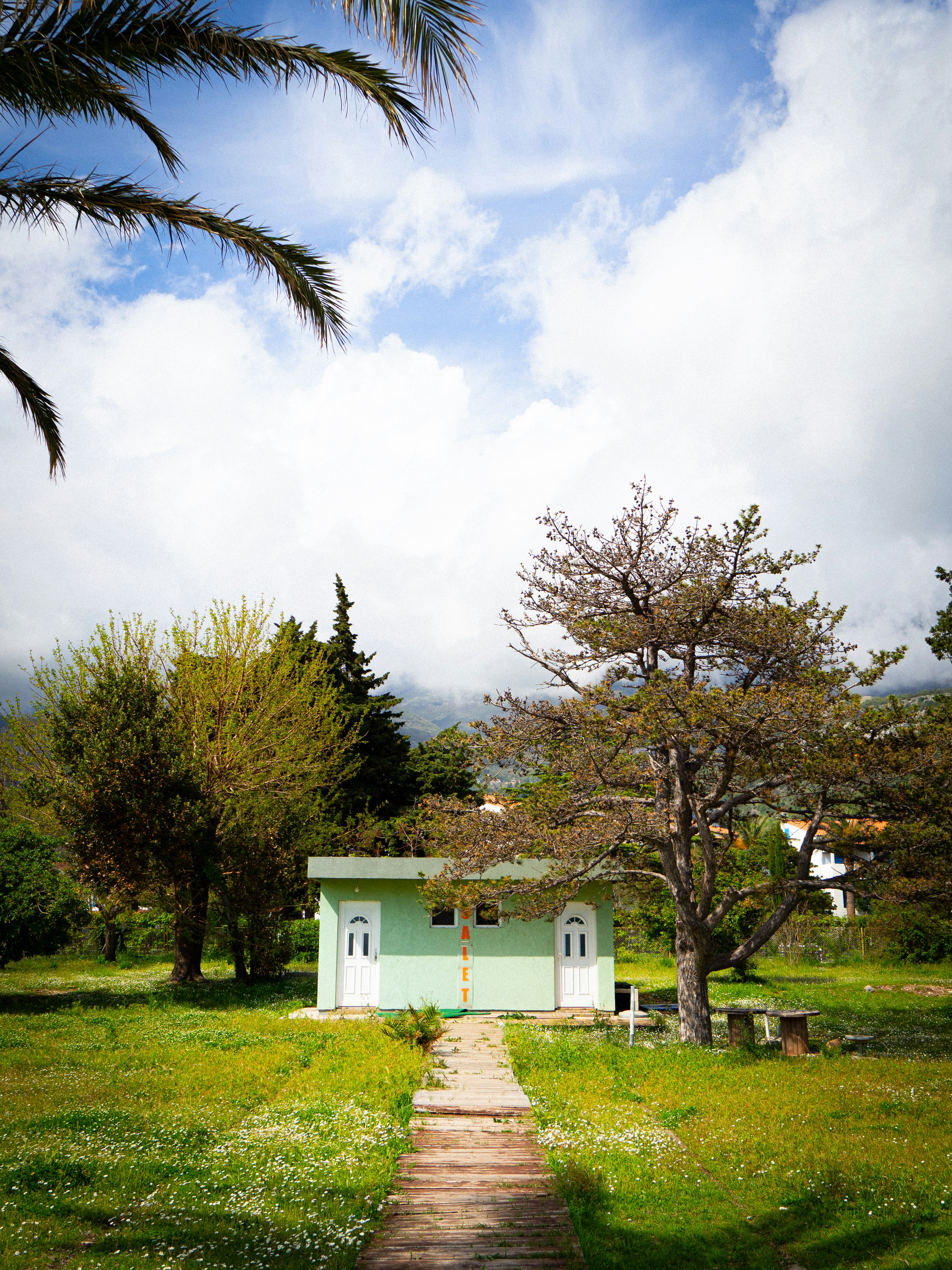 Photo by belyavcev