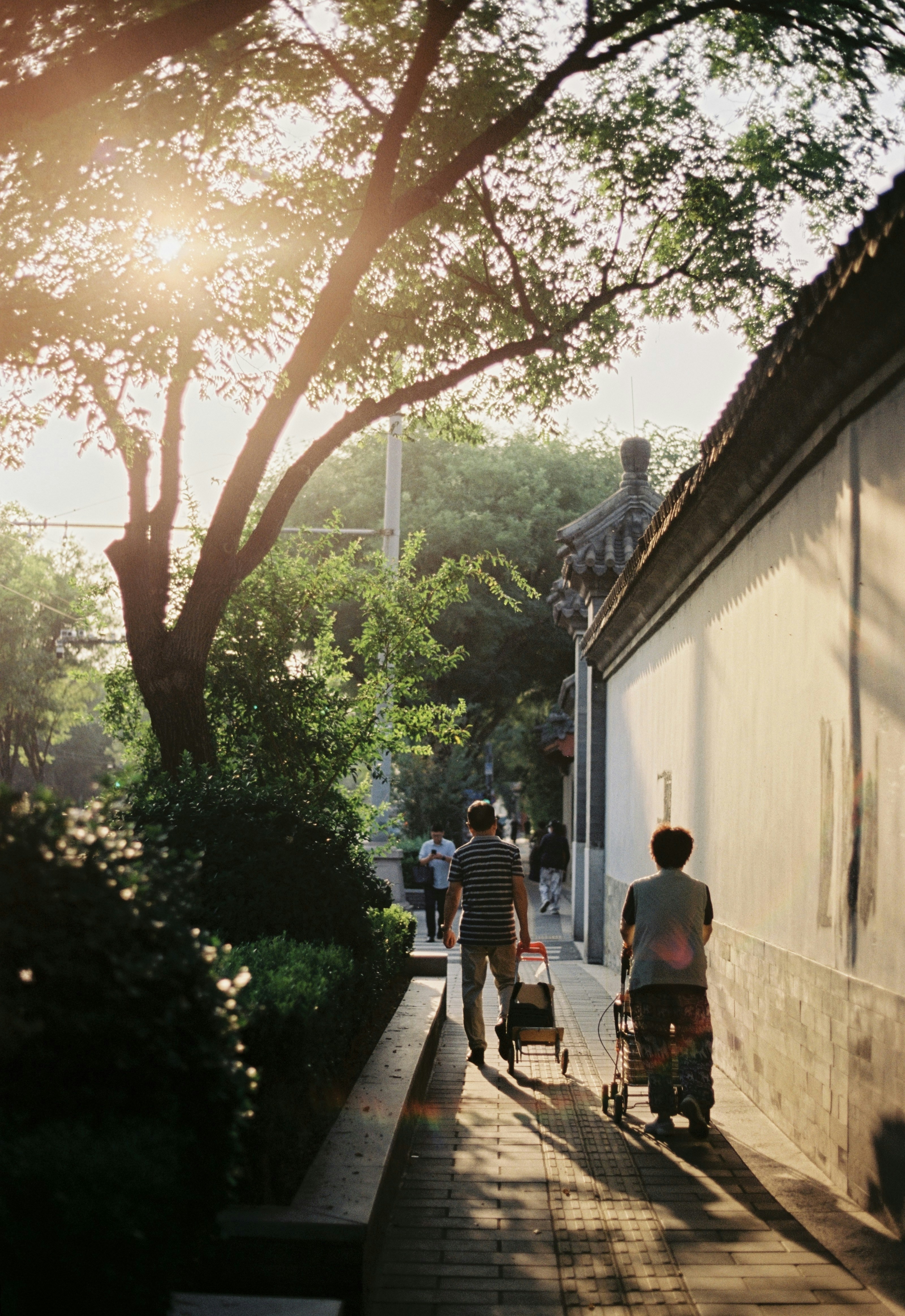 The Advantages of Taking a Walk After Meals for Enhanced Energy and Well-being