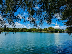 a large body of water surrounded by trees
