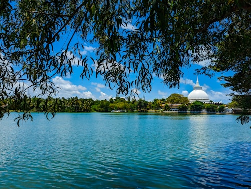 a large body of water surrounded by trees