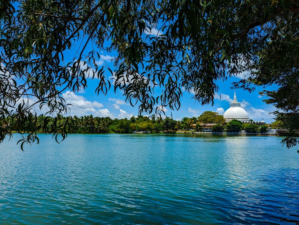 a large body of water surrounded by trees