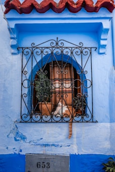 A small blue window with a decorative metal grille, featuring a sleeping orange and white cat lying comfortably on a ledge surrounded by potted plants. The background shows a blue wall with a red tiled roof above the window.