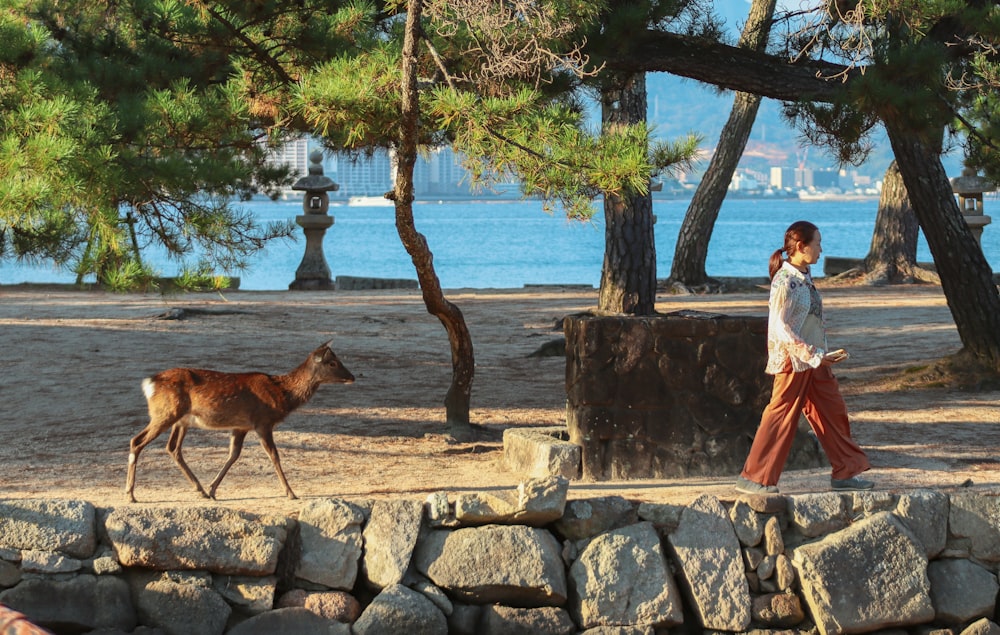 a woman walking with a deer in a park