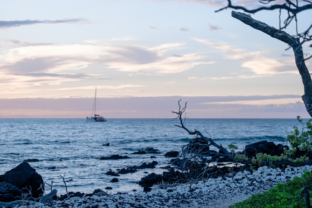 Un barco está en el agua al atardecer