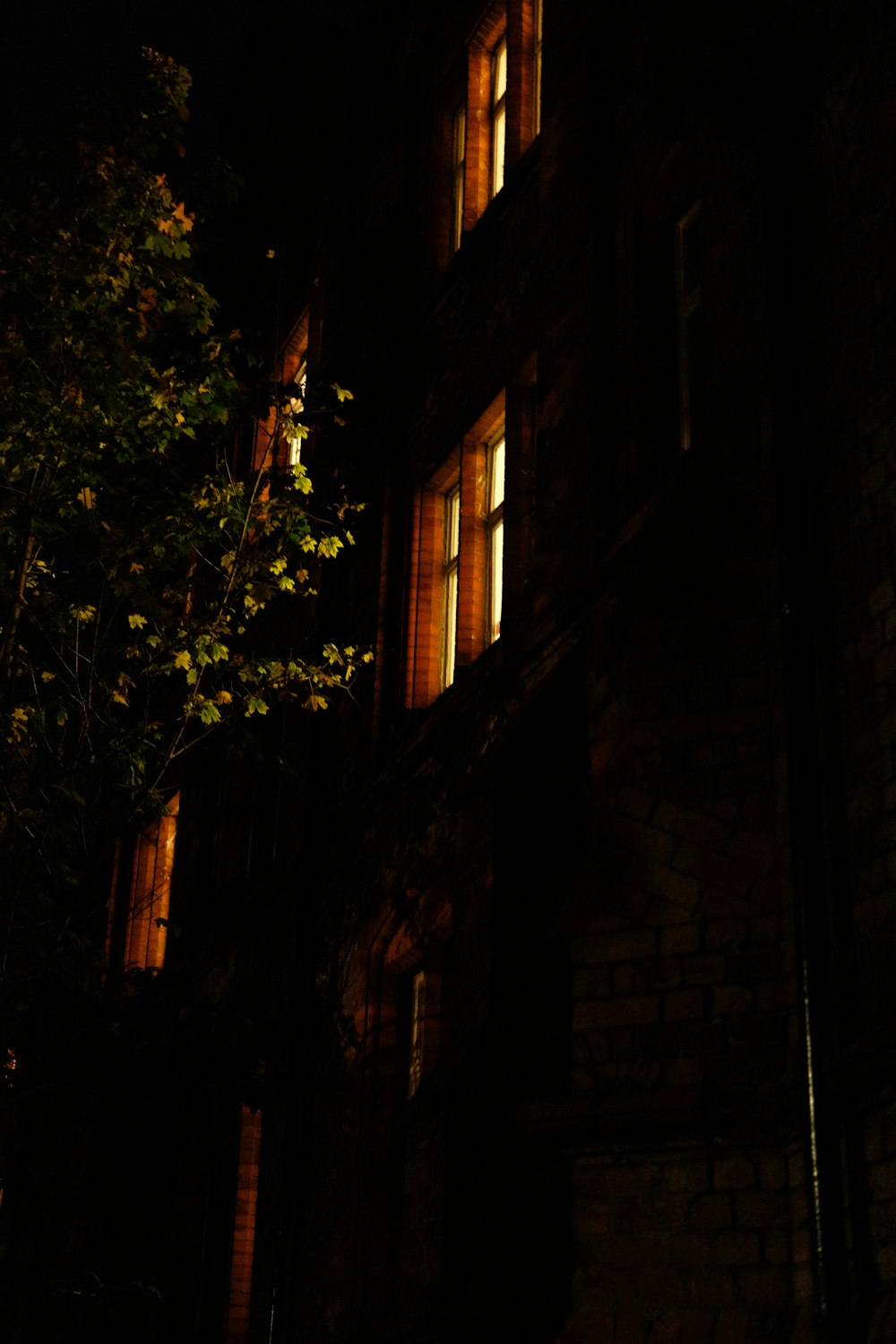 a tall building with windows lit up at night