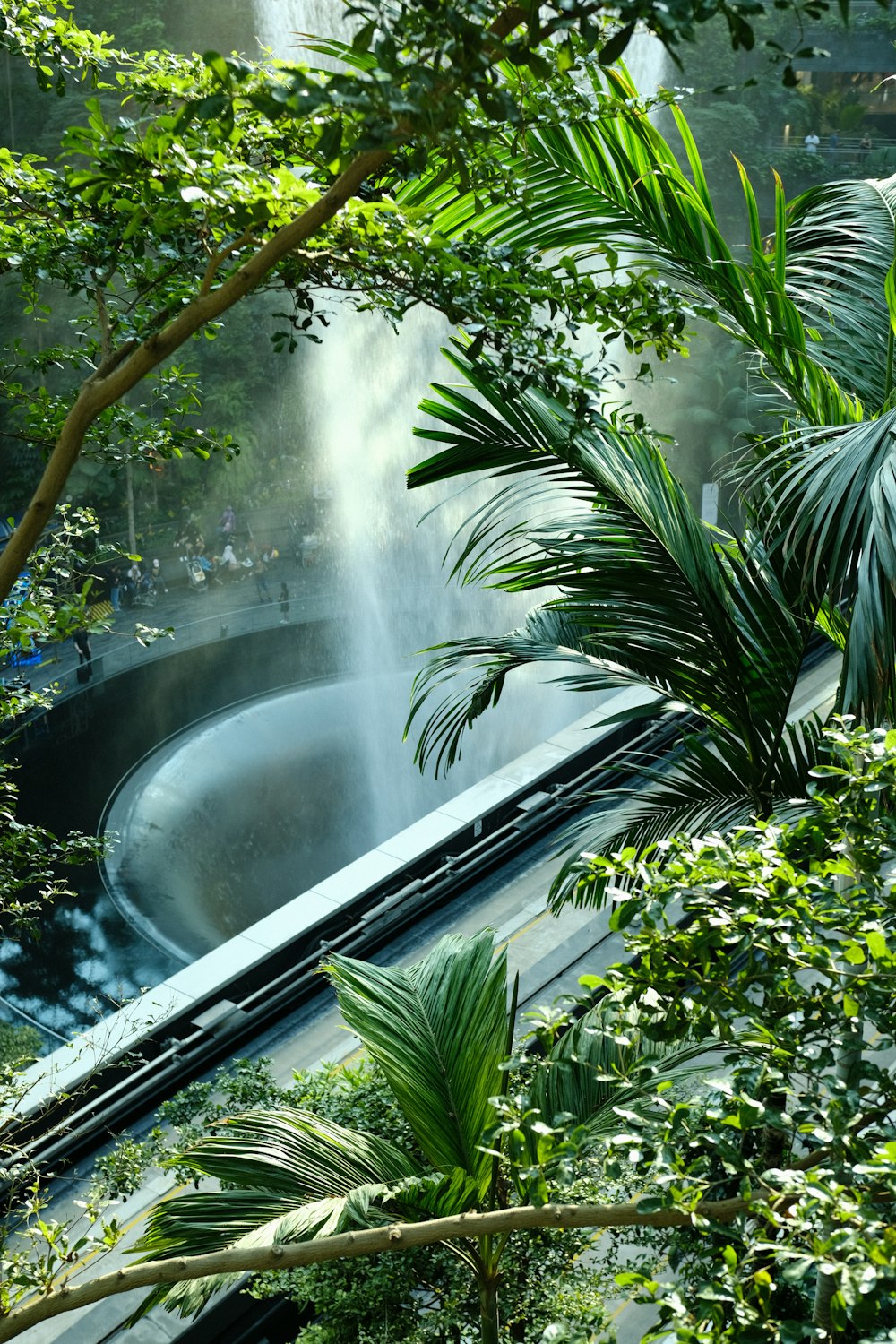 Une grande cascade au milieu d’une forêt