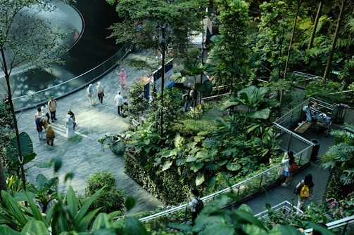 People walk along a path surrounded by lush greenery and tall trees within an indoor garden. There is a reflective water feature to one side, and individuals are engaged in leisurely activities, suggesting an atmosphere of calm and relaxation.
