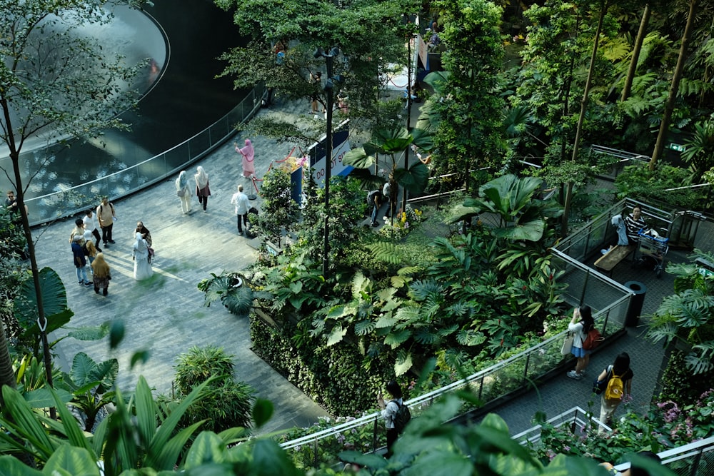 a group of people walking around a lush green park