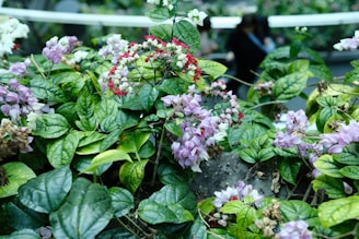 A vibrant display of various natural plants.