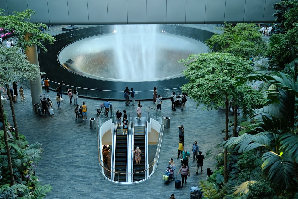 a group of people standing around a fountain