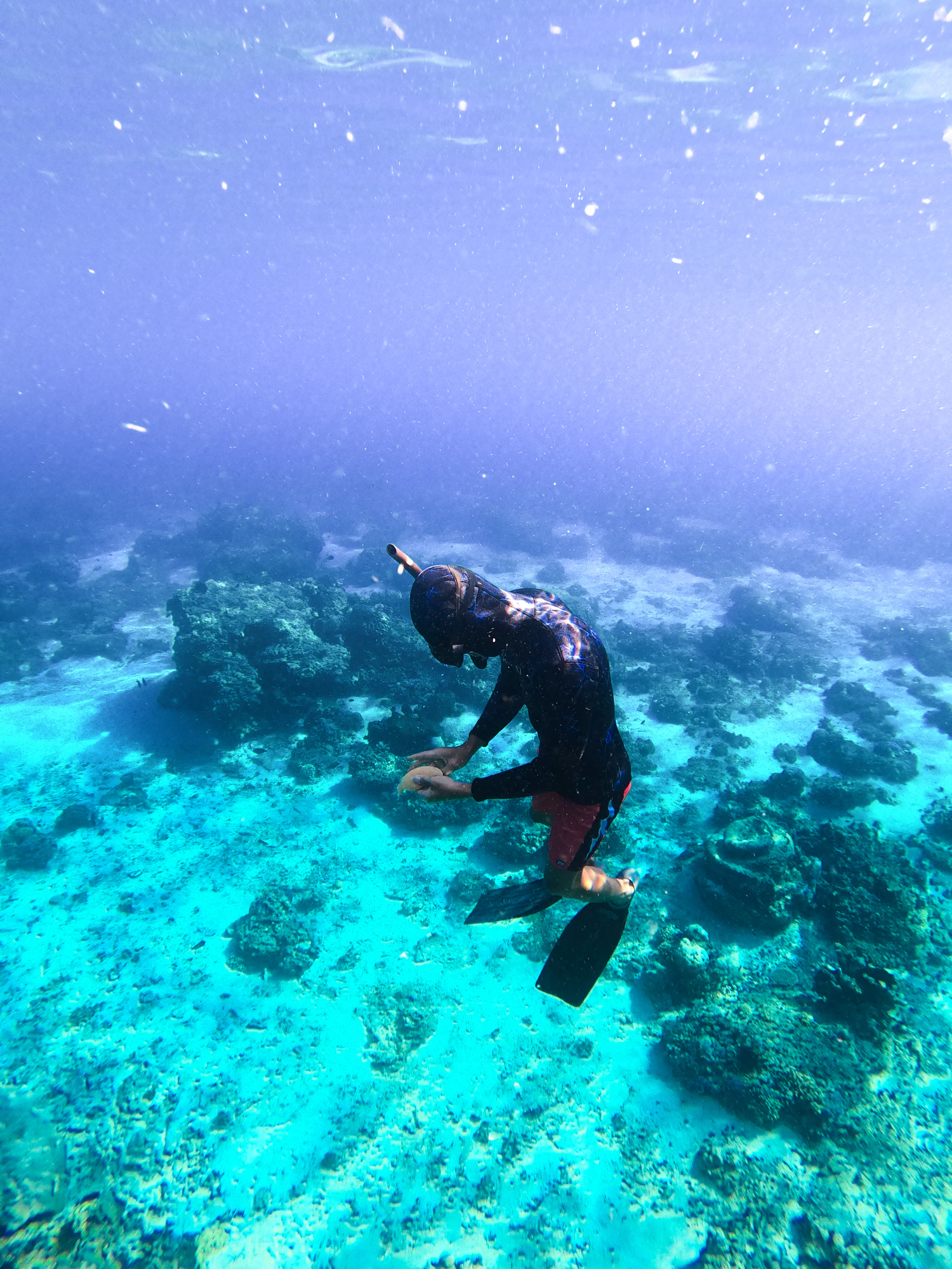 Freediver swimming vertically through clear blue ocean water