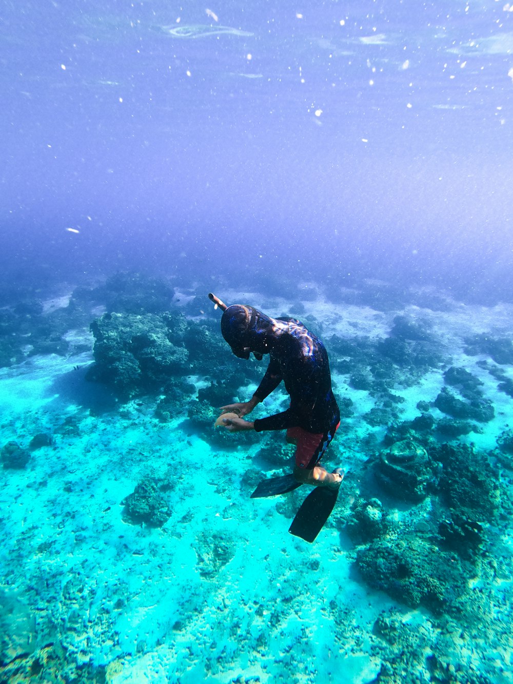 a man in a wet suit diving in the ocean