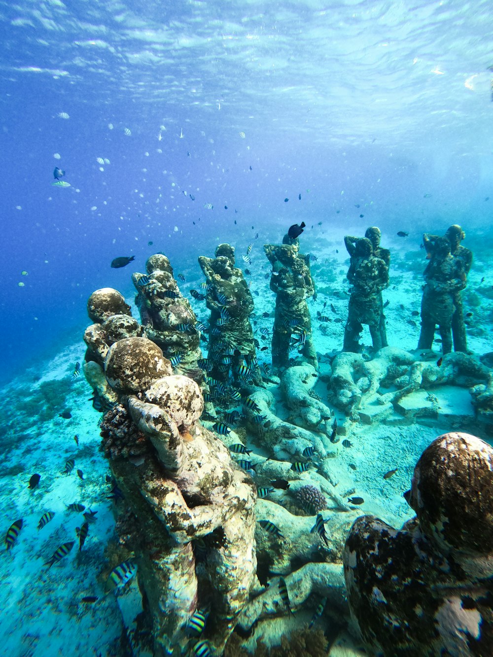 a group of statues sitting on top of a coral reef