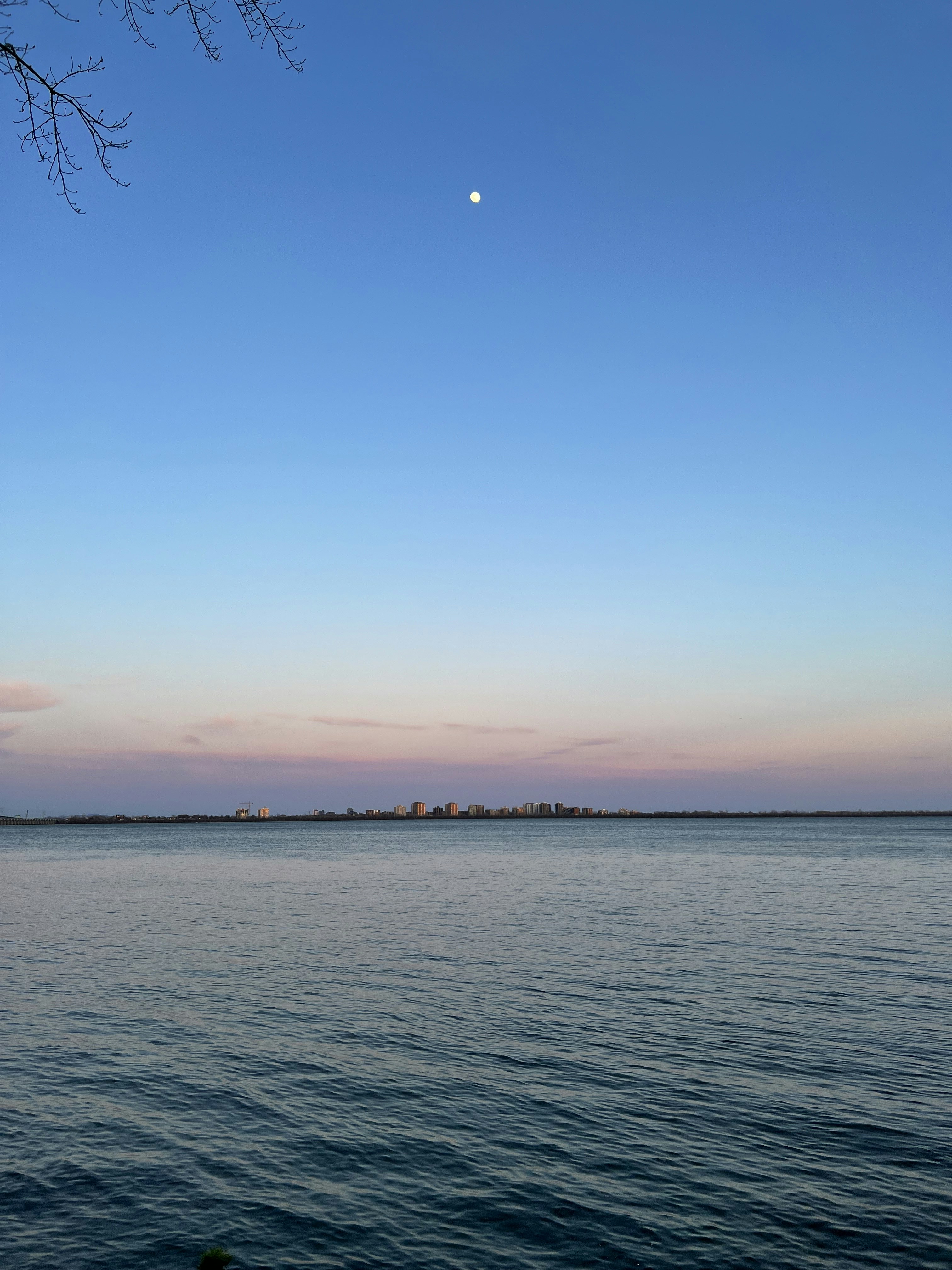 Photo by ardalan_kouchaki