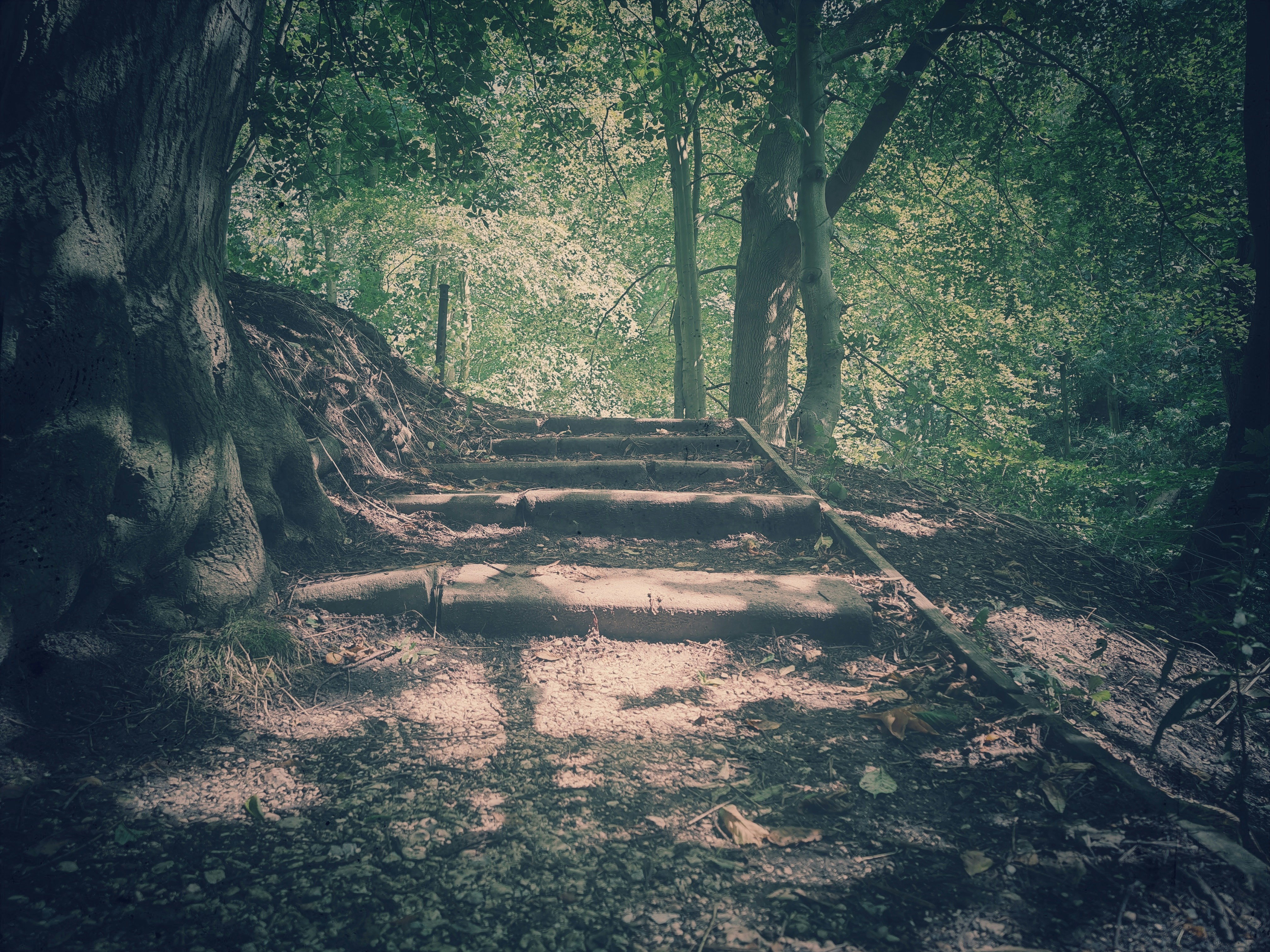 Photo by bizzyspace_images