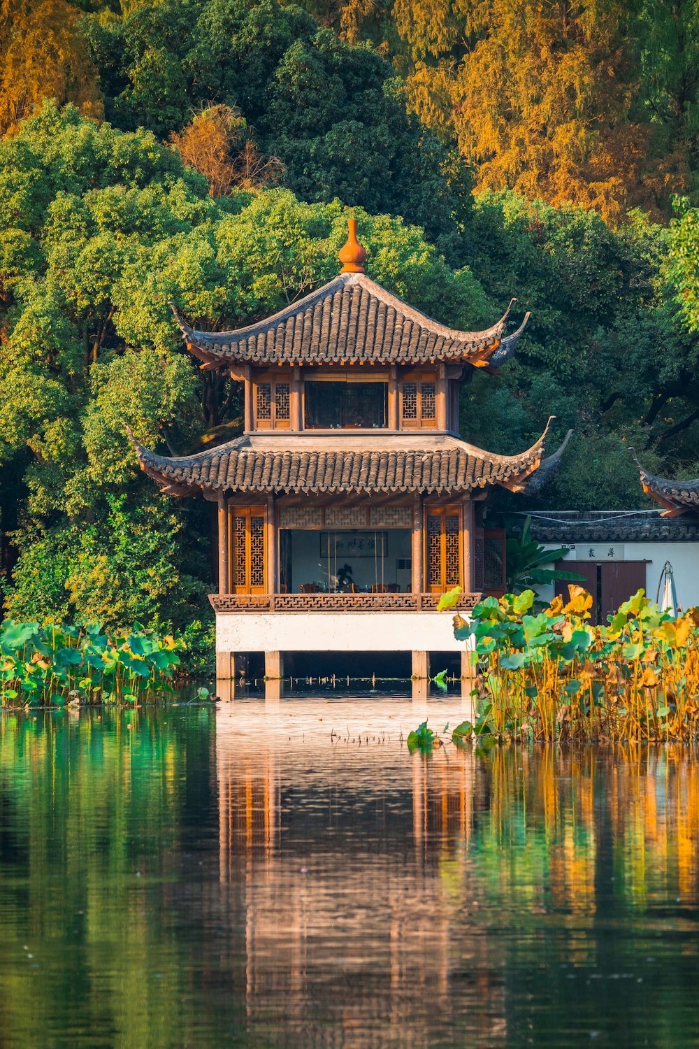 a building sitting on top of a lake next to a forest