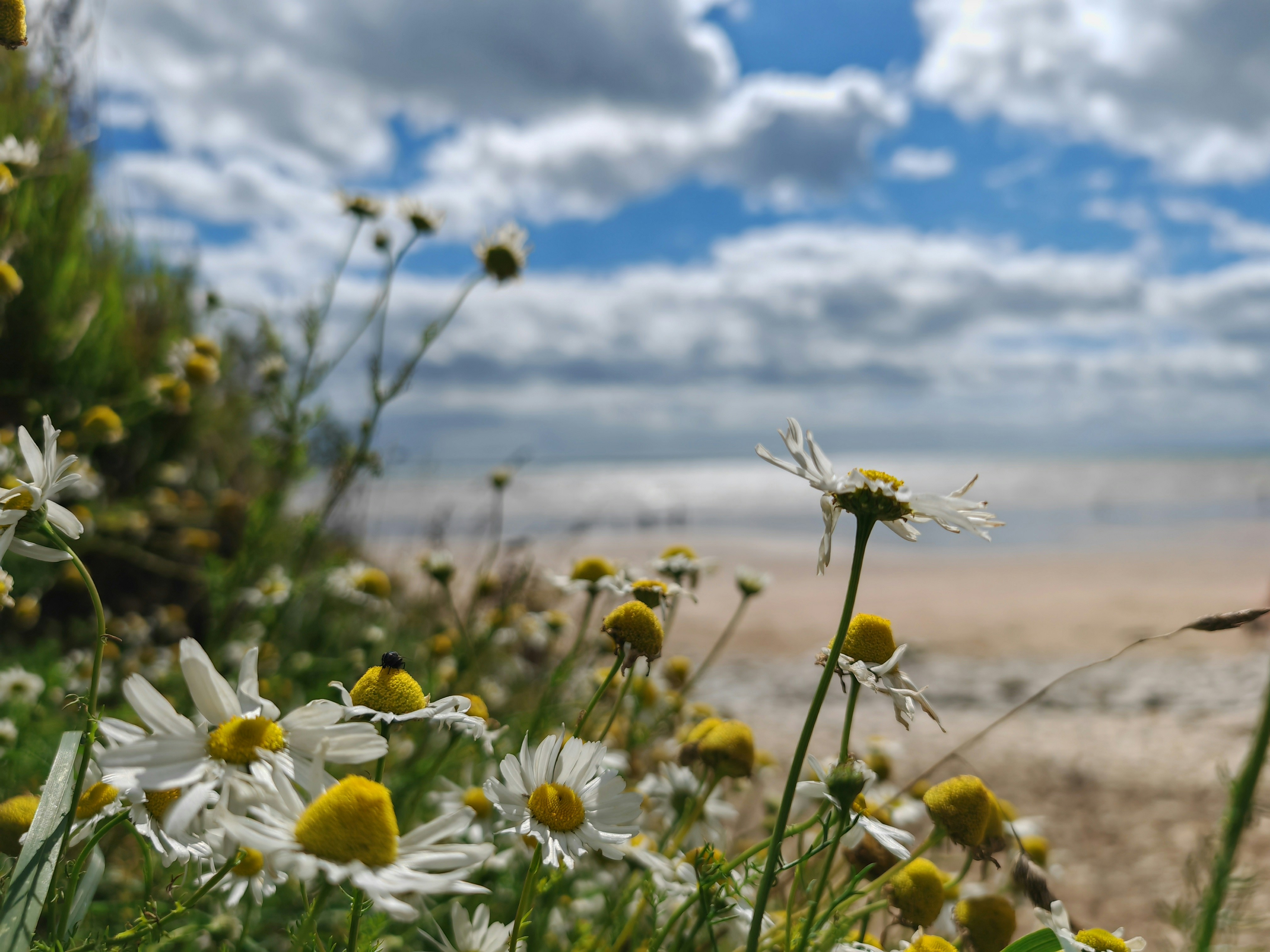 Photo by bizzyspace_images