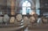 A miniature architectural model showcases abstract, geometric trees and buildings under soft lighting. The setting appears to be indoors, with an arched window in the background allowing natural light to filter through, creating a calm and contemplative atmosphere.