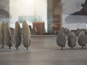 Miniatura Distrito