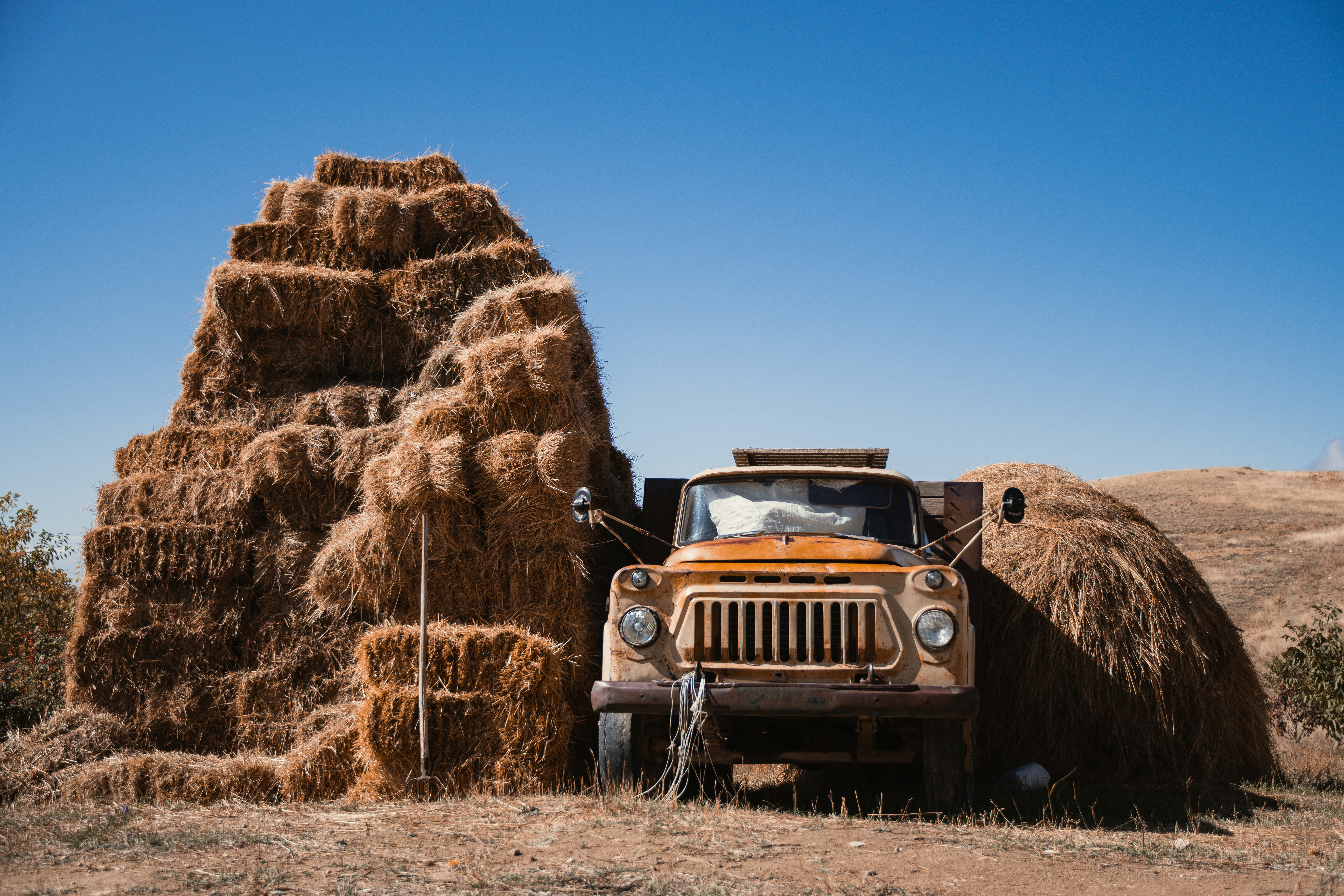 Photo by aniadigyozalyan