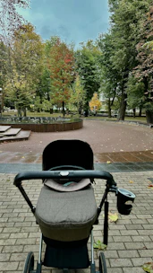 Compact stroller parked under a leafy tree on a sunny afternoon.