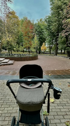A gray baby stroller is positioned on a paved walkway in a park. Surrounding the path, tall trees exhibit a mix of green and autumn colors, such as red and yellow leaves. The sky is overcast, contributing to a serene and calm atmosphere. In the distance, there is a circular water fountain along the curved walkway.