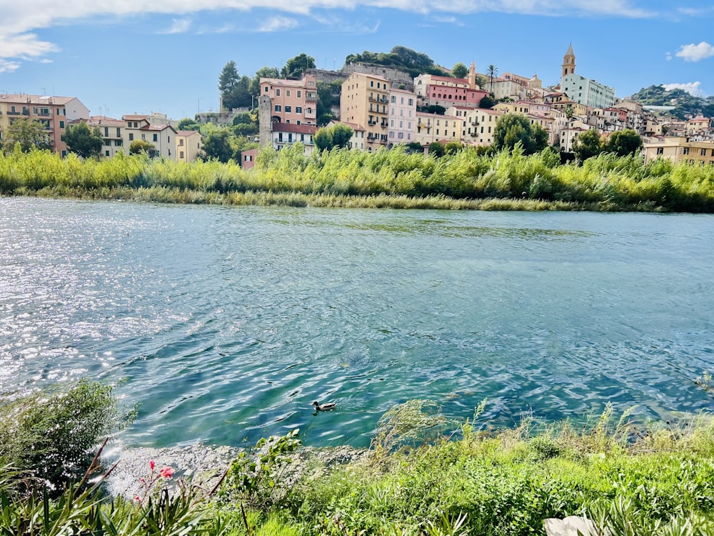 a body of water with buildings in the background