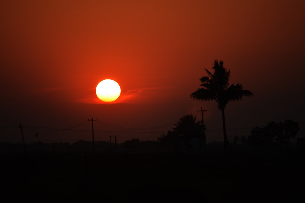 the sun is setting over a field with palm trees