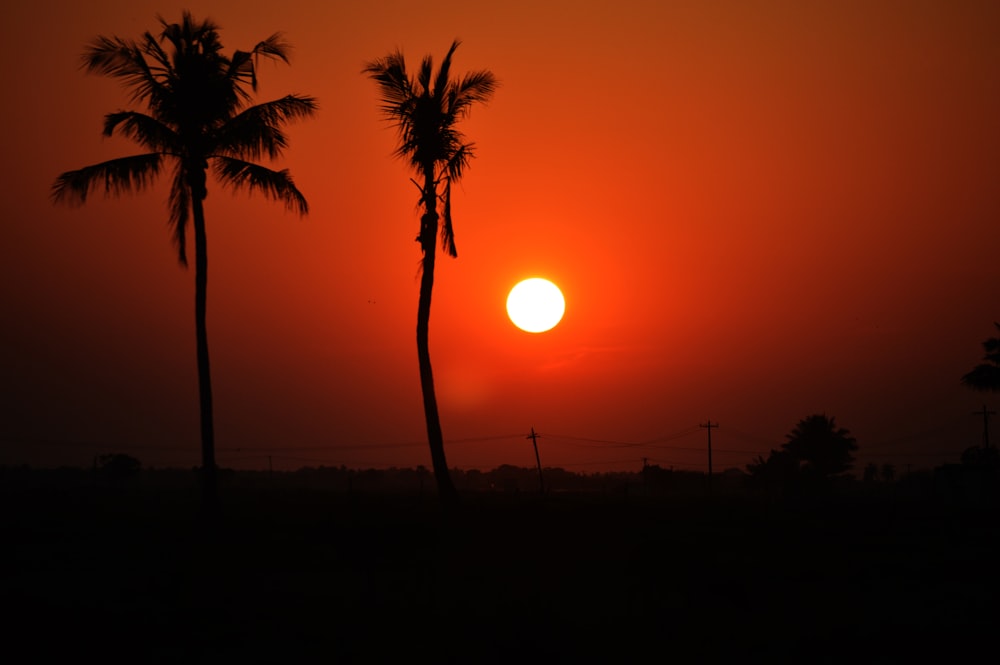the sun is setting behind two palm trees