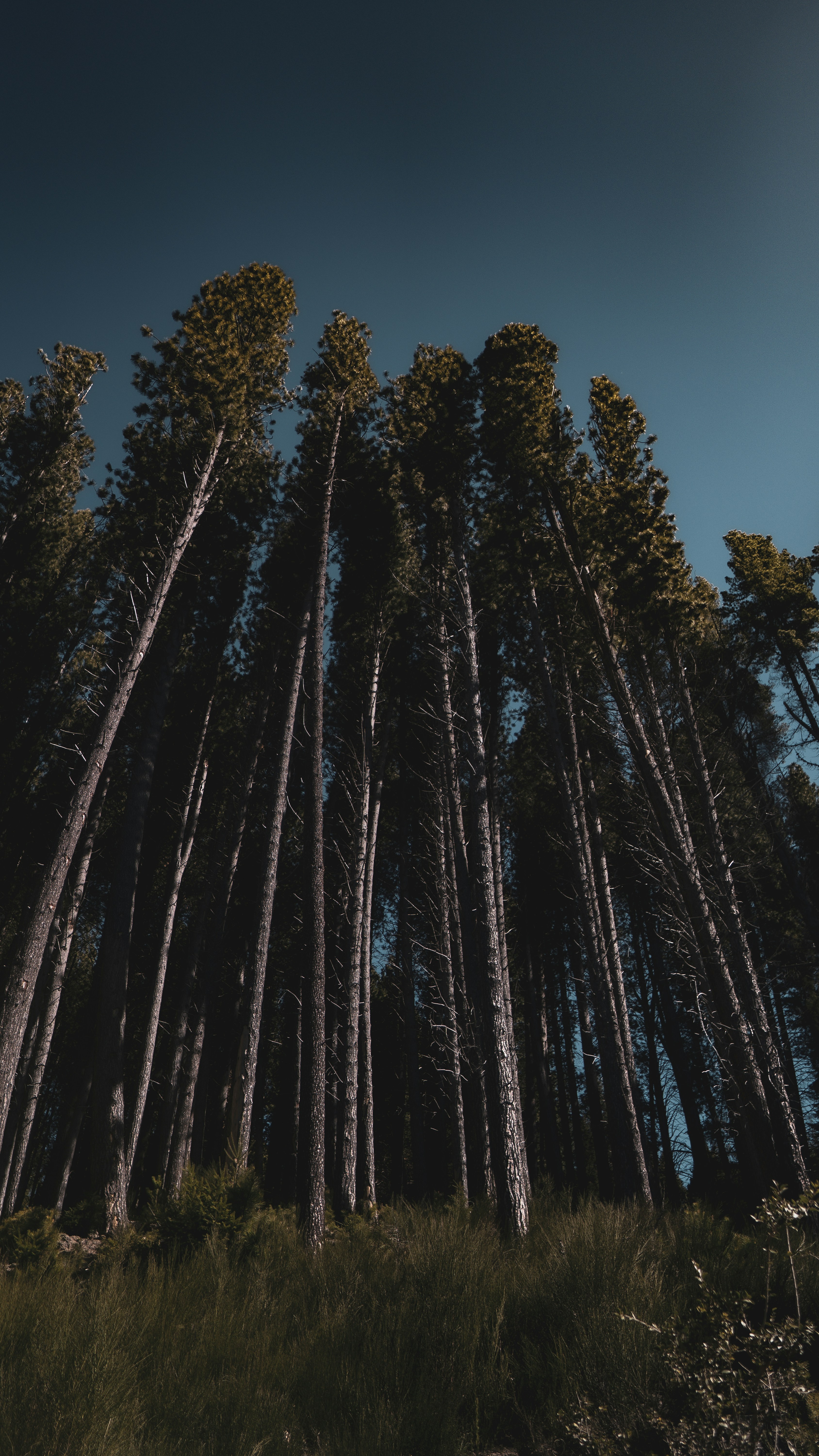 Photo by douglastenn