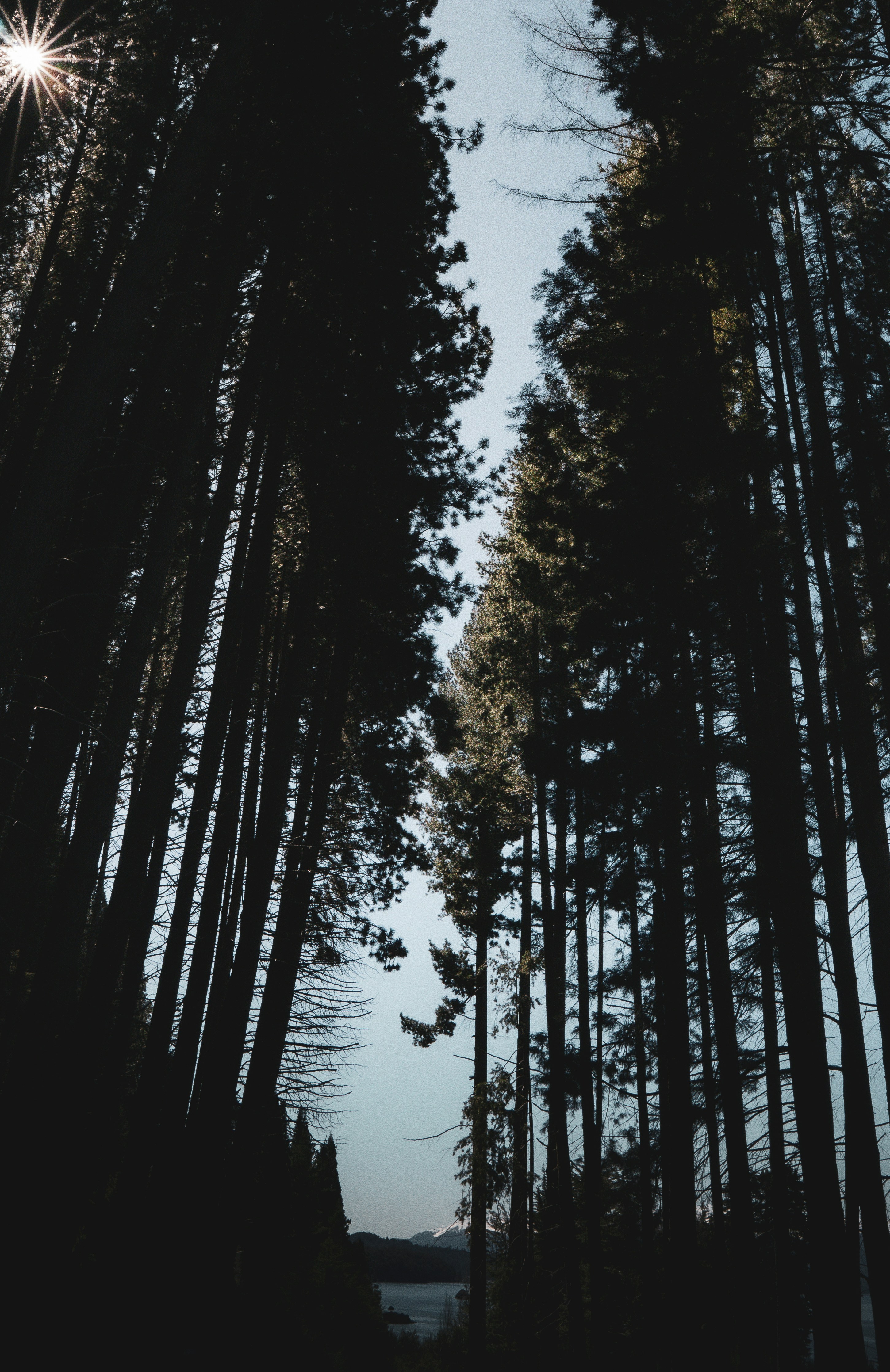 Photo by douglastenn