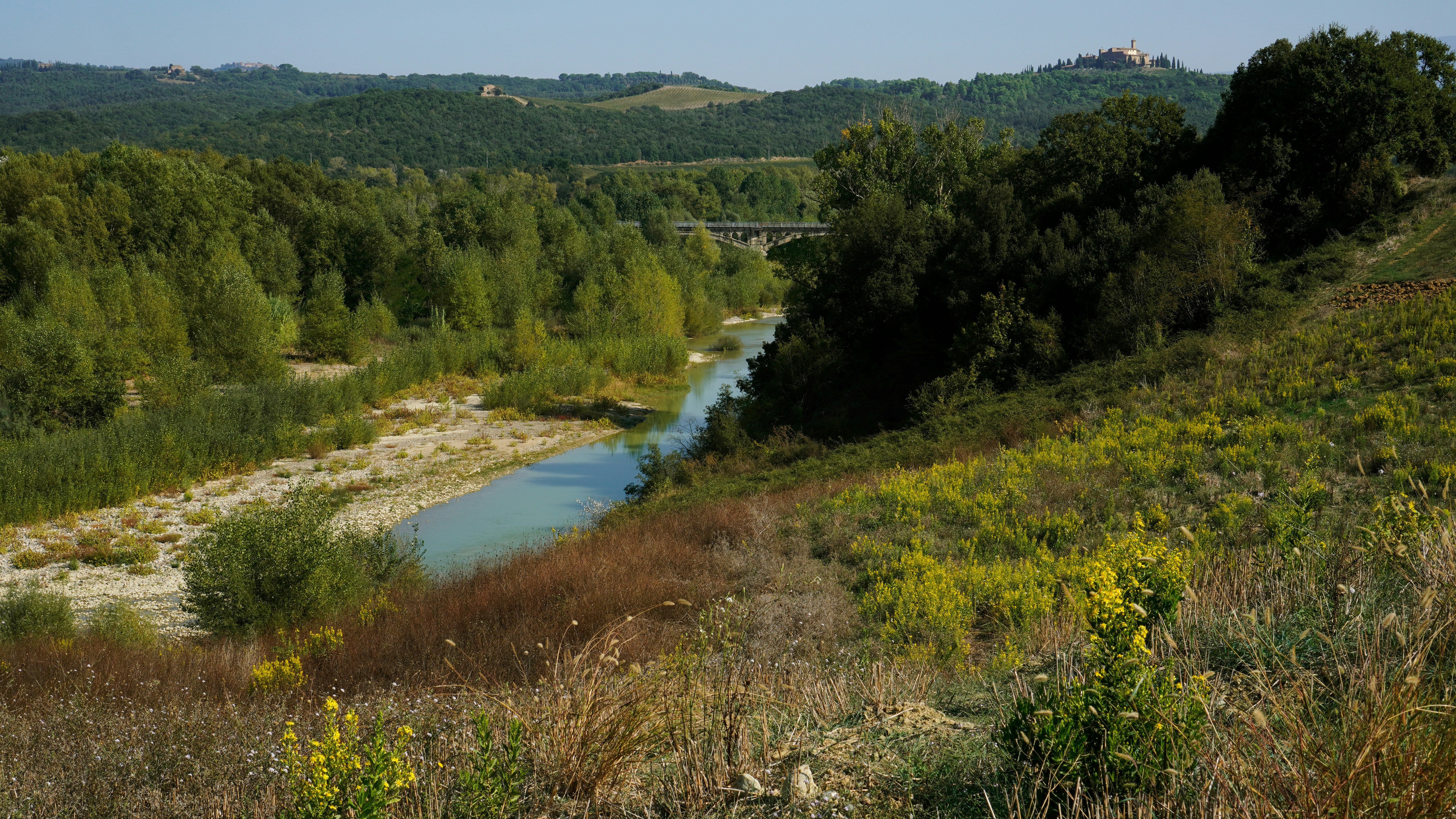 A river running through a lush green forest