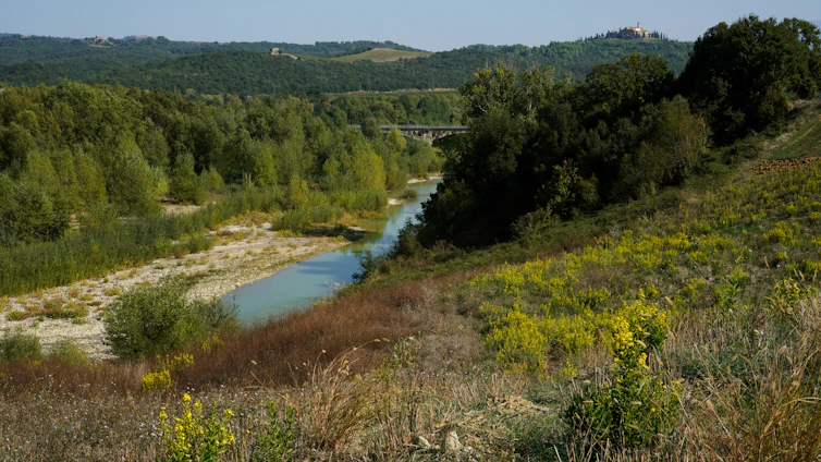 A serene landscape with a tranquil river winding through lush greenery and vibrant wildflowers.