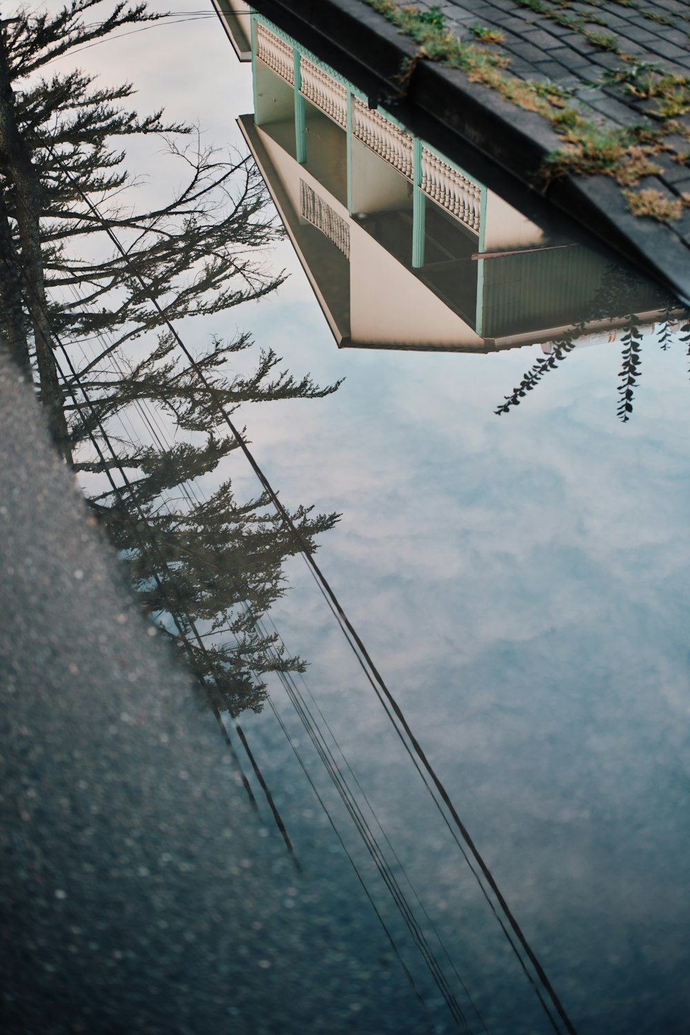 a reflection of a building in a puddle of water