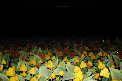 A multitude of artificial flowers, constructed from yellow and red plastic pieces resembling building blocks, are situated on leafy green stalks in a dimly lit environment.