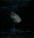 A piece of translucent mineral or crystal with a rough texture is positioned against a dark, almost black background. The mineral appears to have a bluish-gray hue with hints of white and subtle earthy tones.