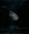 A piece of translucent mineral or crystal with a rough texture is positioned against a dark, almost black background. The mineral appears to have a bluish-gray hue with hints of white and subtle earthy tones.