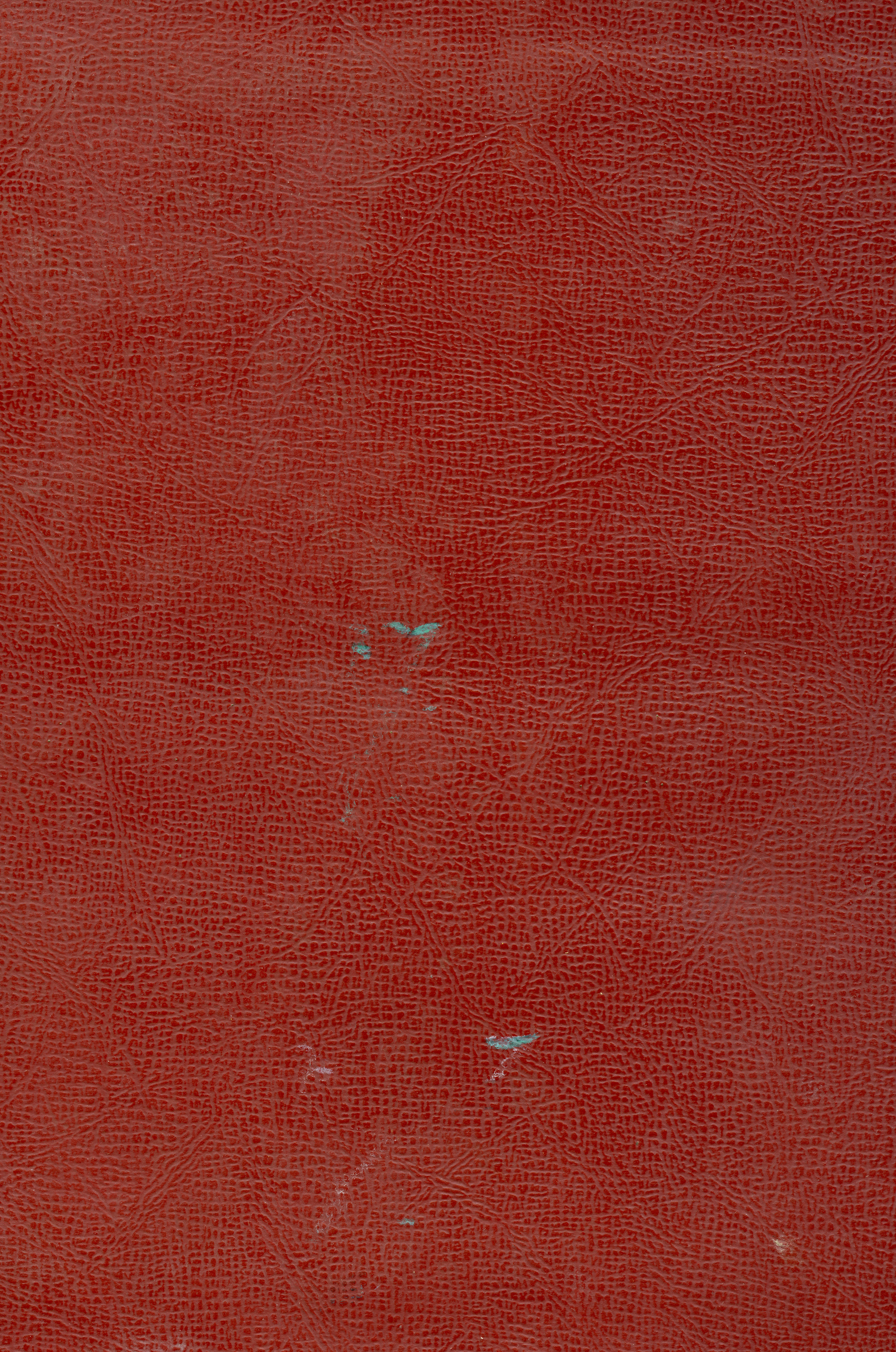 Photo by heathergreengreen