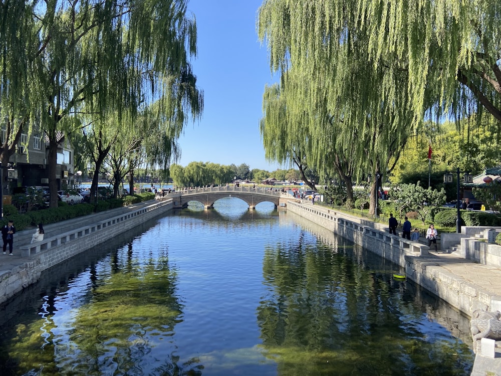 ein Fluss, der durch einen Park neben einer Brücke fließt