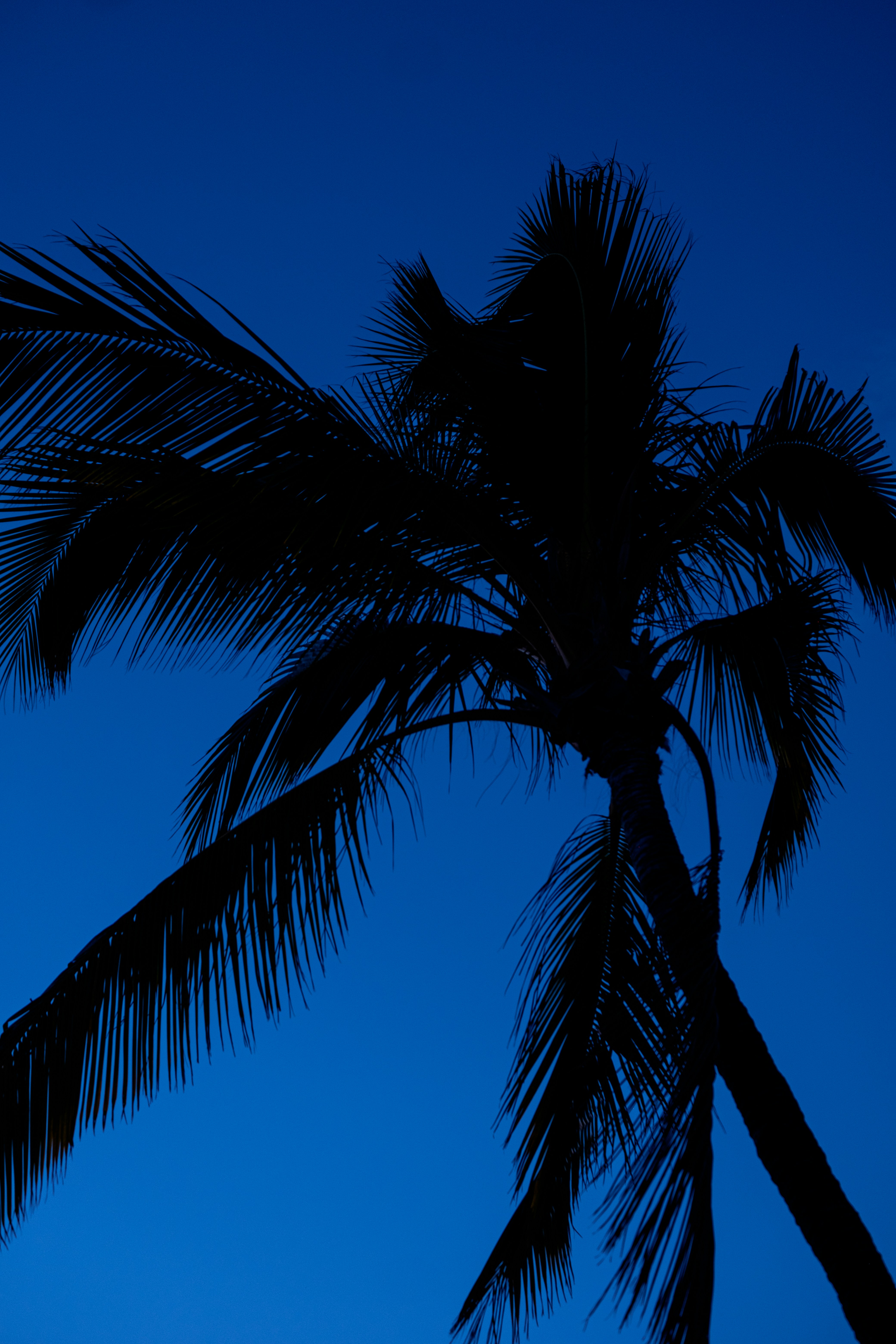 Photo by cestmoisheedy