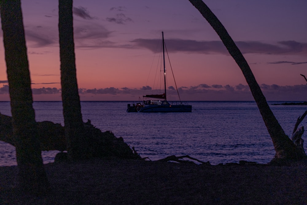 a boat is in the water near some palm trees