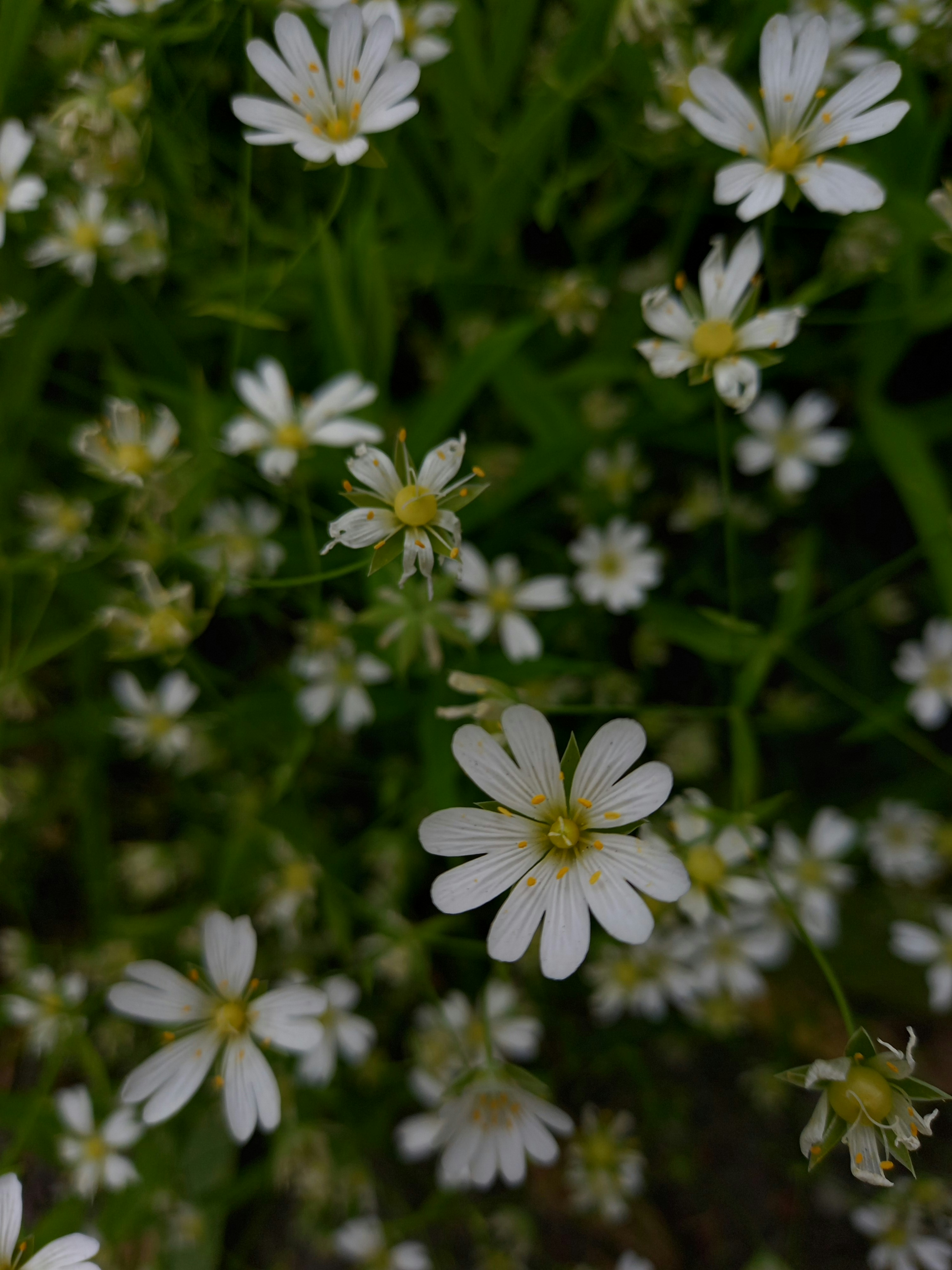 Photo by themoonfallnow